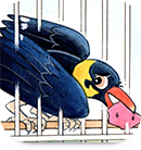 icon_futatsunonamaekarasu.png