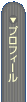 �v���t�B�[��