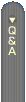 Q&A