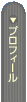 �v���t�B�[��