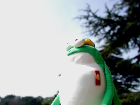 �C���[�W�摜